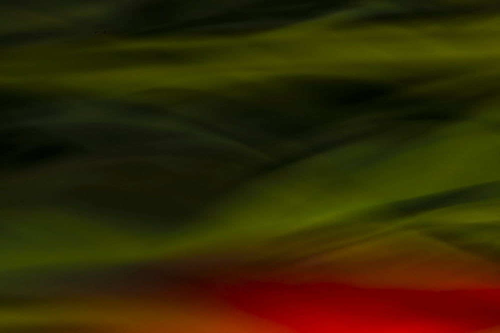 Abstract Close Up Of Tulips Canvas Art - Richard Wear Design Pics (36 x 24)