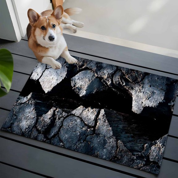 Abstract Crack Small Area Rugs 2x3 Black Gray Cracked Earth Texture Earthly Fissure Entryway Rugs Washable Door Mat, Low-Profile Area Rugs Non Slip Floor Carpet for Living Room Bedroom Home Office
