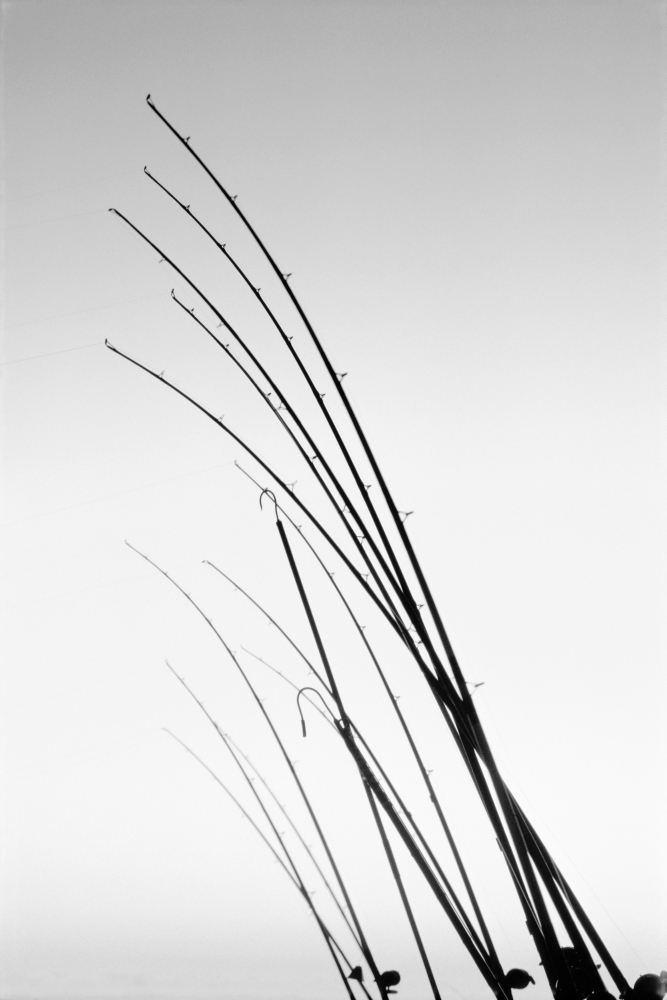 Abstract Fishing Poles And Gaffs Silhouetted Against Twilight Skies (Black And White Photograph) Canvas Art - Robert Sablan Design Pics (12 x 18)