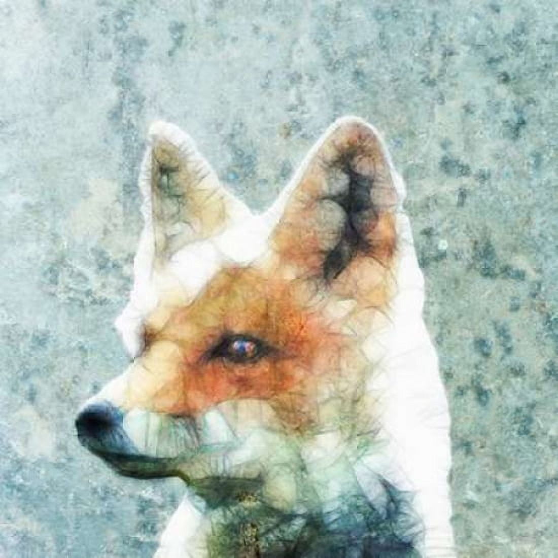 Abstract Fox Canvas Art - Ancello (24 x 24)