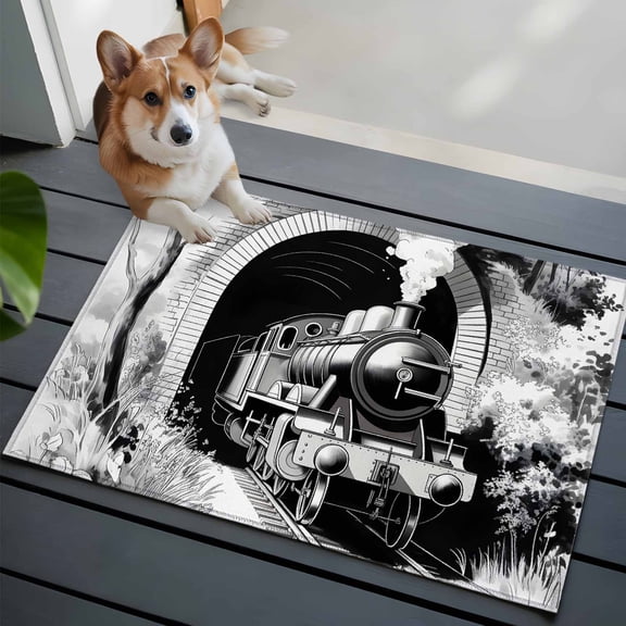 Abstract Front Door Rugs 2x3 ft Black White Trains Tunnels Line Painting Modern Art Small Rug for Entryway Non Slip Washable Bathroom Door Mat Absorbent Floor Mat for Indoor Entrance