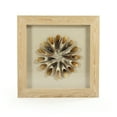 thumbnail image 1 of Abstract Horn Art, 1 of 2