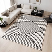 CHAKME Abstract Line Art 5x7 Rug - Washable Geometric Spiral Floor Mat, Soft Non-Slip Vintage Boho Carpet for Living Room Bedroom, Black & Cream