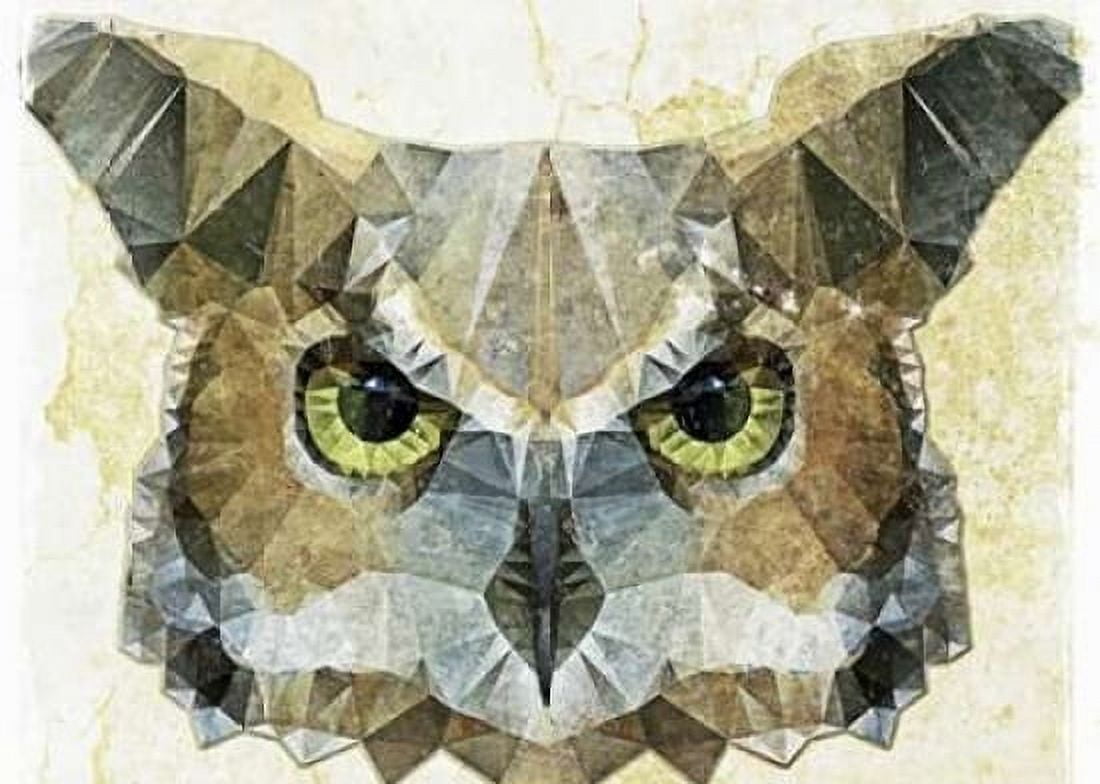 Abstract Owl Canvas Art - Ancello (20 x 28)