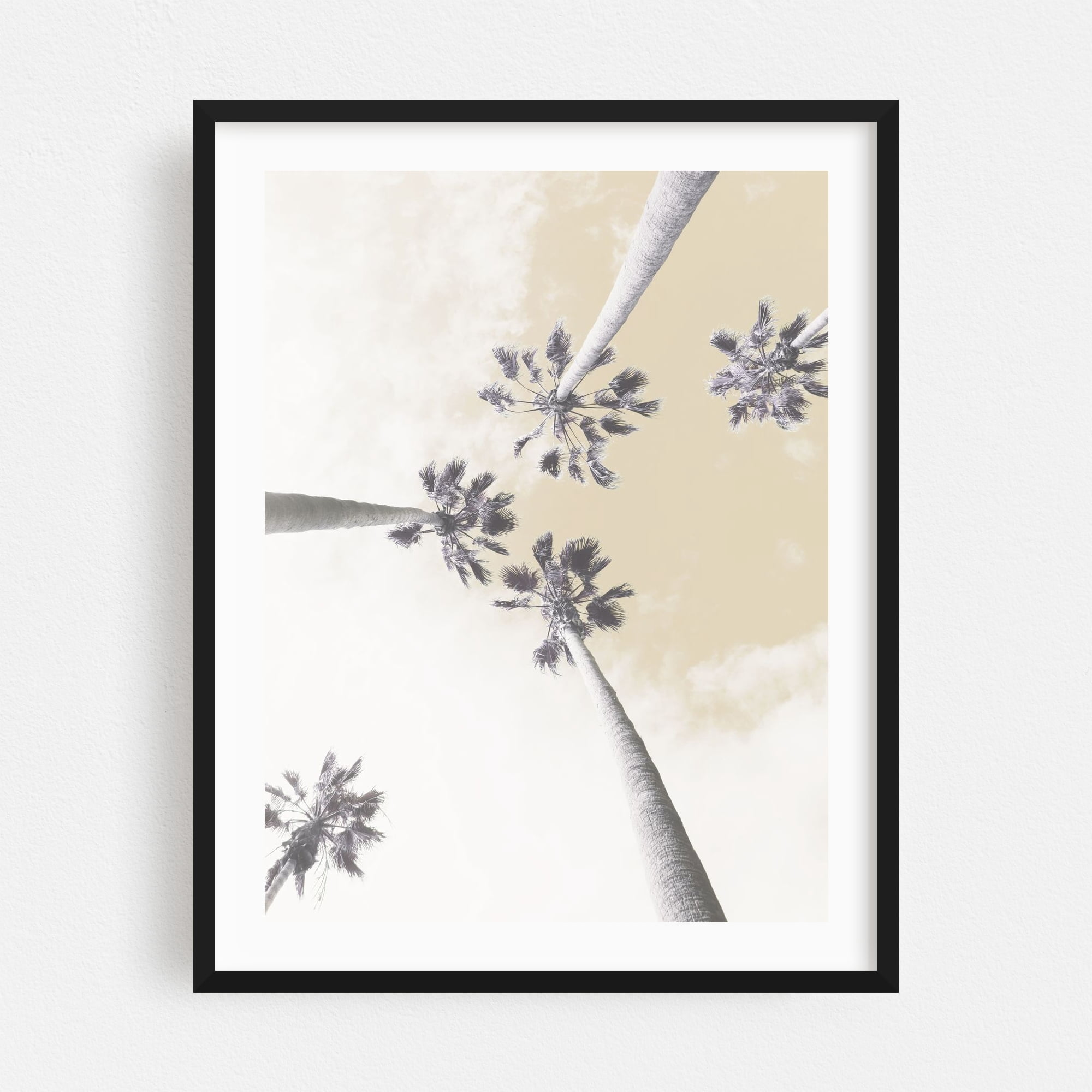 Abstract Palm Trees - California Photography Palm Tree Minimalist ...