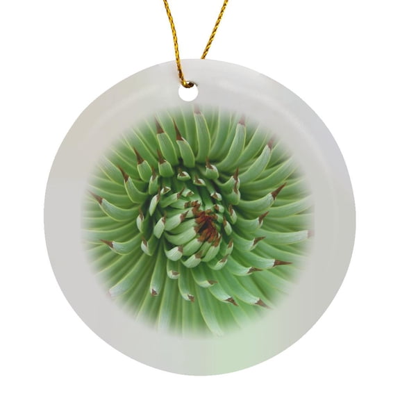 3drose, Abstract Plant Close-up - Green Spiky Leaves Macro Photography, Circle Porcelain Ornament