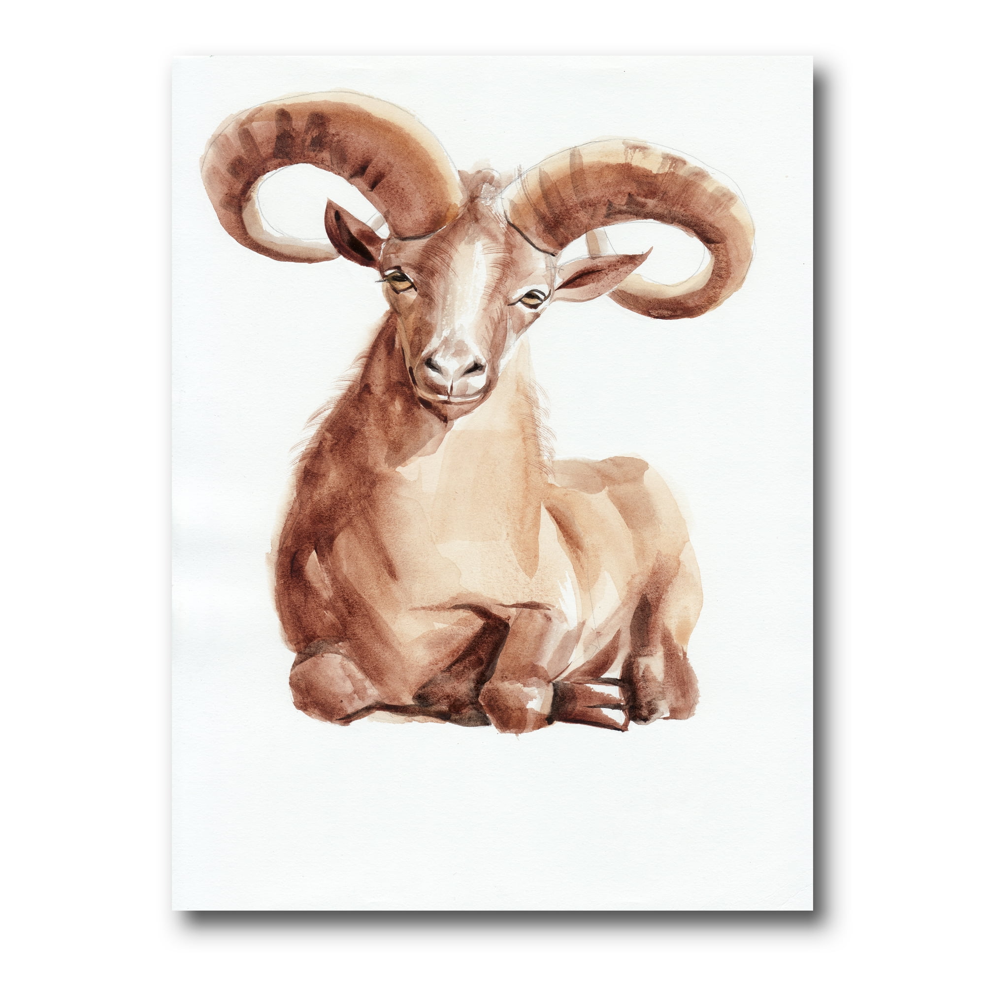 Abstract Portrait of Wild Ram With Mighty Horns II 16 in x 32 in Painting Canvas Art Print, by Designart