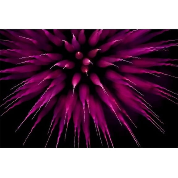Abstract Purple Firework Burst Using Focus Pull - Twickenham England Poster Print by Nick Dale - 19 x 12
