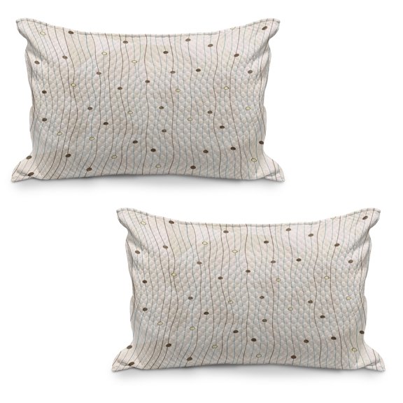 Abstract Quilted Pillowcover Set of 2, Swirls Pattern with Circles Rounds Lines with Border Like Image, Standard Queen Size Pillow Cover for Bedroom, 30" x 20", Pale Grey Eggshell, by Ambesonne