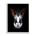 Abstract Rabbit Bunny Makeup Head Black Background Animals & Insects ...