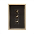 thumbnail image 1 of Abstract Shell Wall Art, 1 of 2