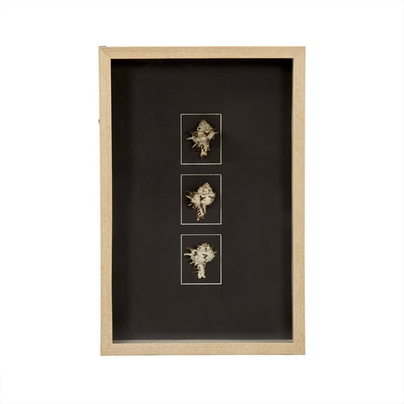 Abstract Shell Wall Art