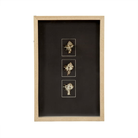 Abstract Shell Wall Art