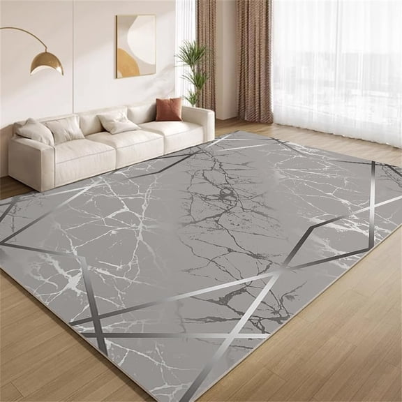 Abstract Silver Grey Marble Area Rugs Silver Striped Border Ombre Crack Texture Rugs Washable Non-Slip Carpet for Living Room Bedroom Office Home Decor Floor Mats 4x6ft