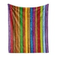 thumbnail image 1 of Abstract Soft Flannel Fleece Throw Blanket, Vibrant Painted Wood Vertical Planks as Background Cheerful Rainbow Image, Cozy Plush for Indoor and Outdoor Use, 60" x 80", Multicolor, by Ambesonne, 1 of 6