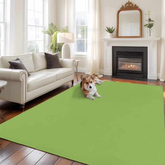 Abstract Solid Color Area Rugs 5x7 ft Simple Avocado Green Low Saturation Washable Rug Non Slip Indoor Carpet Absorbent Floor Mat for Living Room Bedroom Dining Room