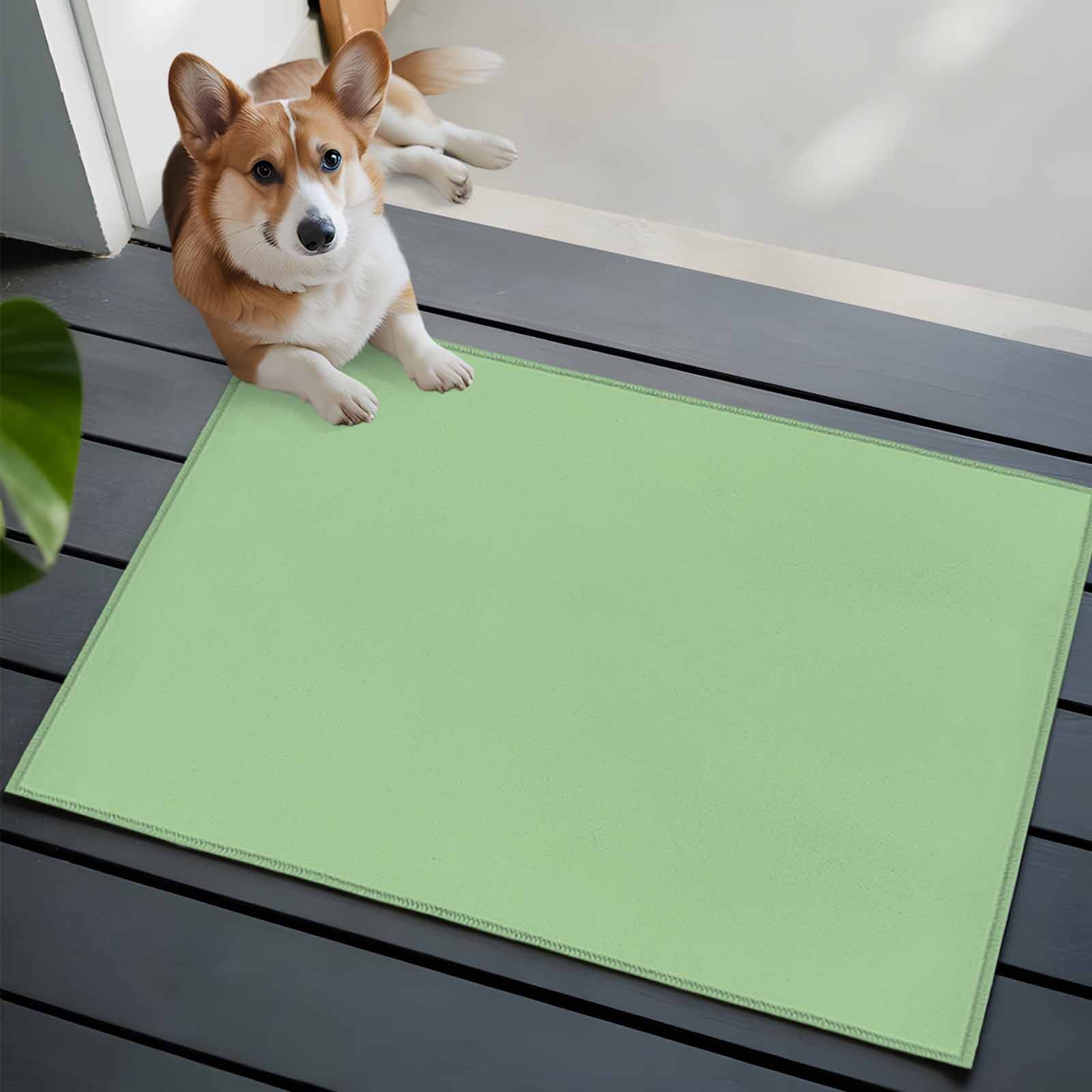 Abstract Solid Color Front Door Rugs 2x3 ft Simple Avocado Low ...