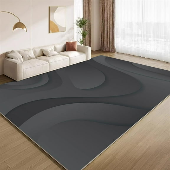 Abstract Wavy Stripes Area Rugs, Ombre Black Gray Design Carpet, Soft Washable Non Slip Low Pile Rug for Living Room Bedroom Entry Floor Mat 2x3ft