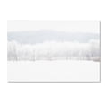 thumbnail image 1 of "Abstract Winter Beaver Marsh" Canvas Art by Kurt Shaffer, 1 of 3