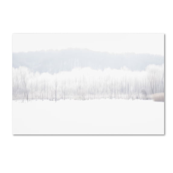 "Abstract Winter Beaver Marsh" Canvas Art by Kurt Shaffer