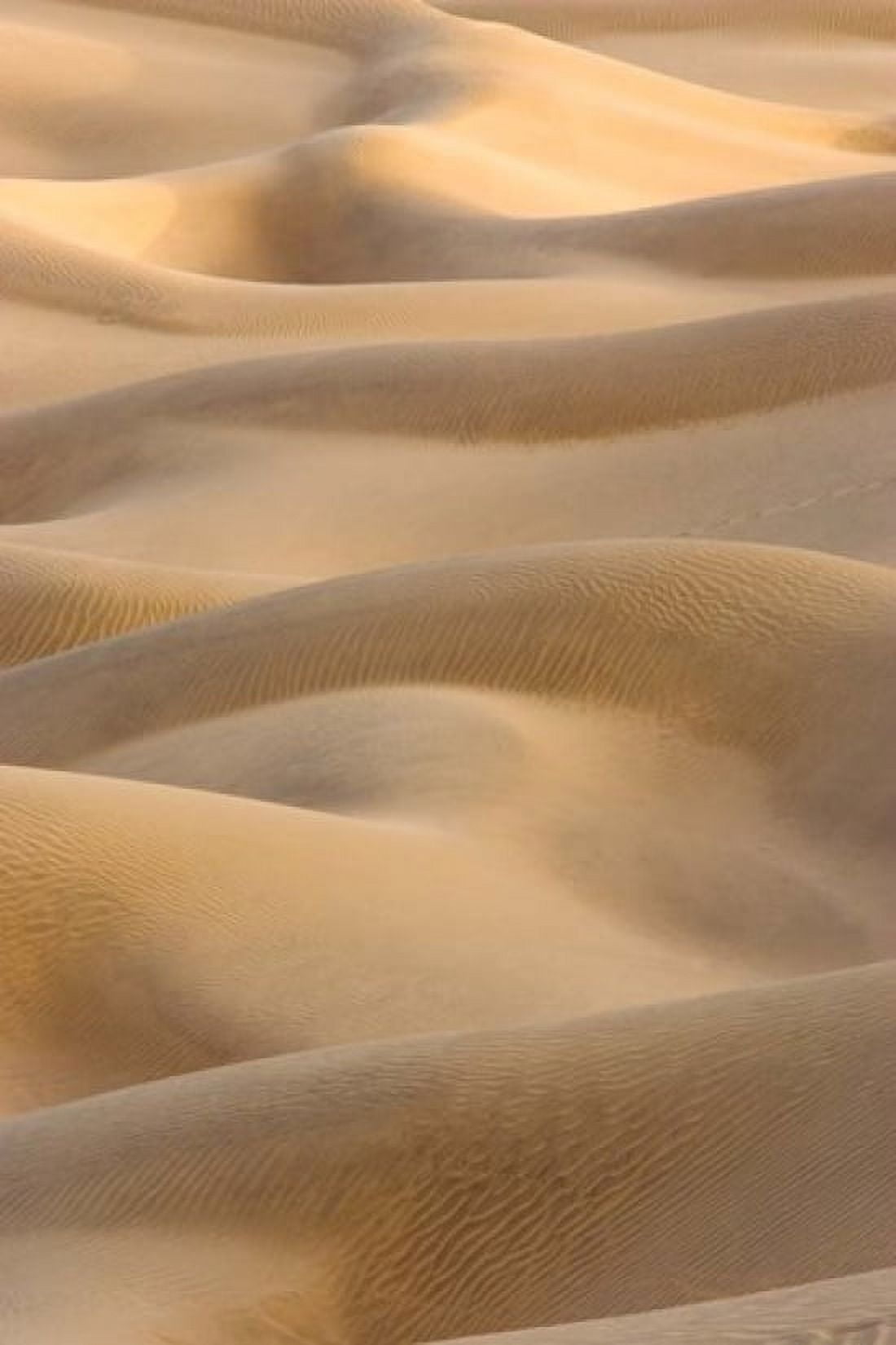 Abstract of Sand Dunes at Sunset Thar Desert Jaisalmer Rajasthan India Canvas Art - Philip Kramer DanitaDelimont (18 x 26)