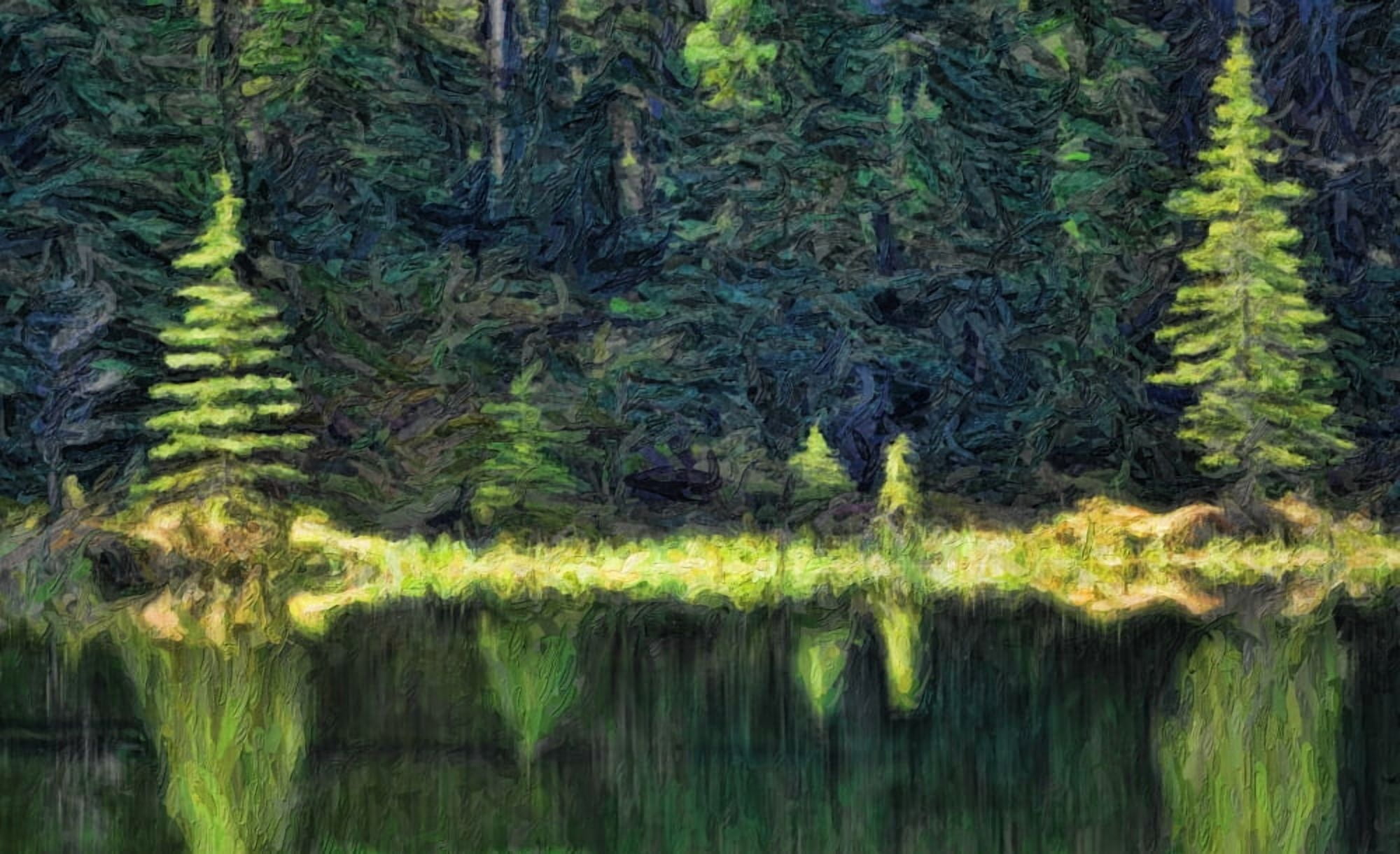 Abstract painterly style reflection on water Jasper National Park Alberta Canada Canvas Art - Ron Harris Design Pics (19 x 12)