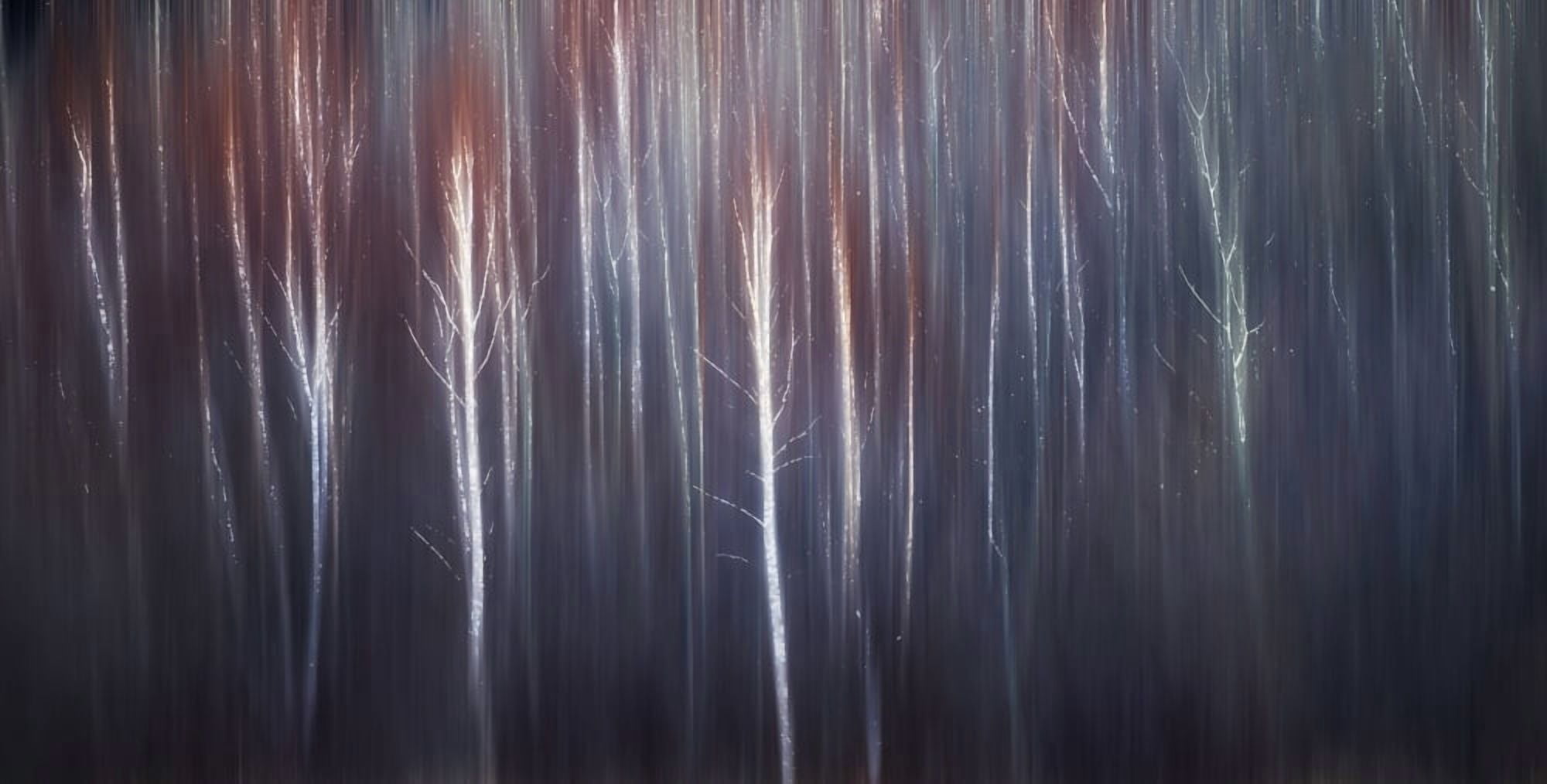 Abstract trees with motion blur Alberta Canada Canvas Art - Ron Harris Design Pics (42 x 22)