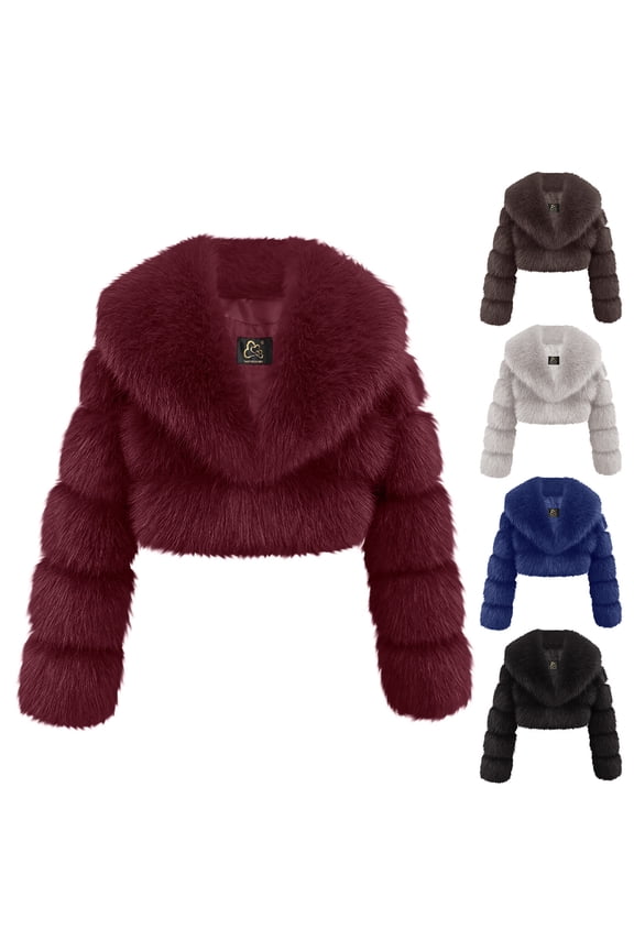 Outerwear for Women Fall and Winter Faux Short Big Collar Long Sleeve Zipper Jacket