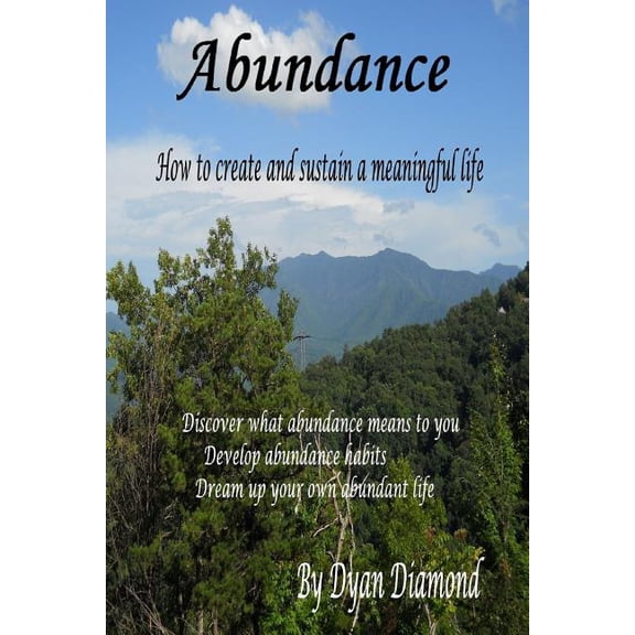 Abundance How To Create And Sustain A Meaningful Life, (Paperback)