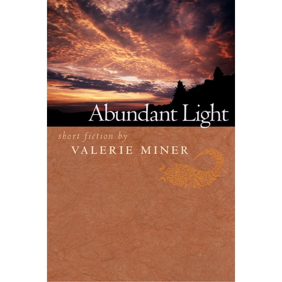 Abundant Light : Short Fiction (Paperback)