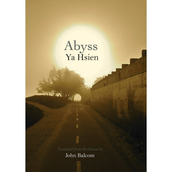 Abyss (Paperback)