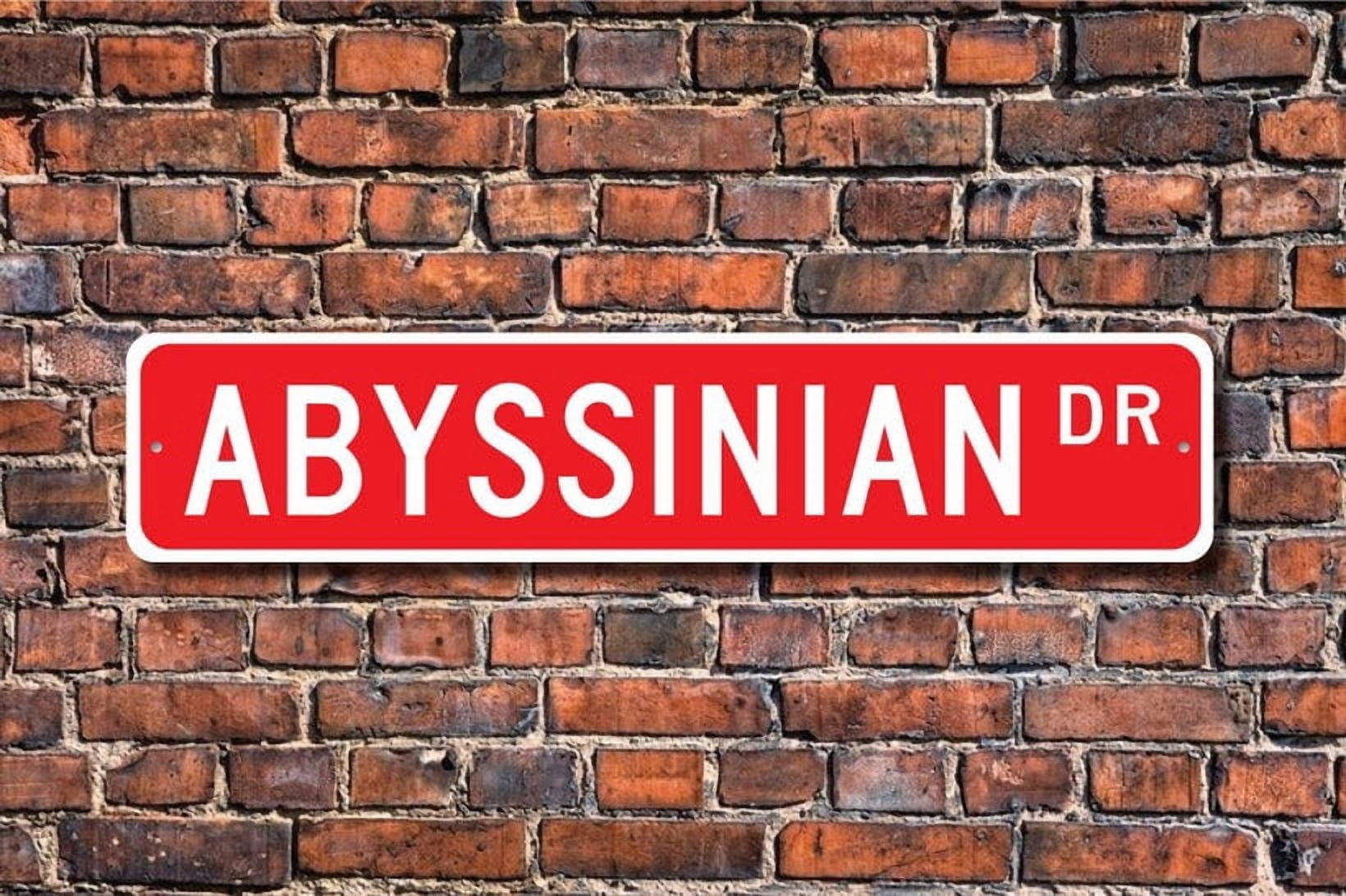 Abyssinian Abyssinian Lover Abyssinian Sign Cat Owner Sign Cat Owner ...