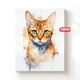 Abyssinian Cat Lover Original Cute Portrait Pet Picture Caracat Wall ...