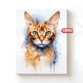 Abyssinian Cat Lover Original Pet Drawing Cute Picture Aby Wild Caracat ...