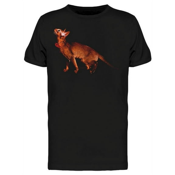 Abyssinian Cat Raising His Face T-Shirt Men -Image by Shutterstock, Male 3X-Large