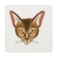 thumbnail image 1 of "Abyssinian Simplicity" - Canvas, 1 of 25