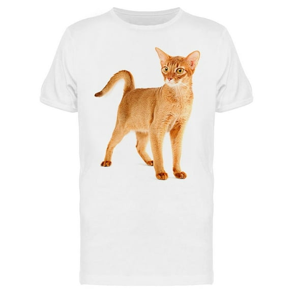 Abyssinian Young  Cat Isolated  T-Shirt Men -Image by Shutterstock Men T-Shirt, Male Large