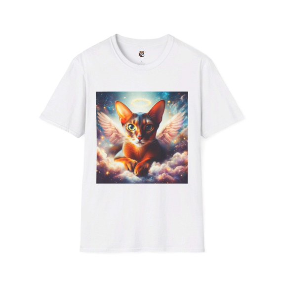 Abyssinian