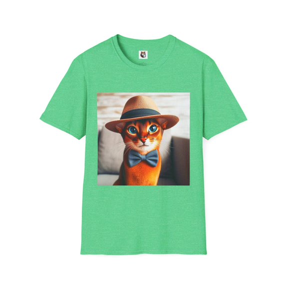 Abyssinian