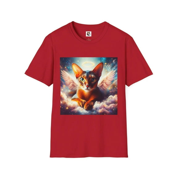 Abyssinian