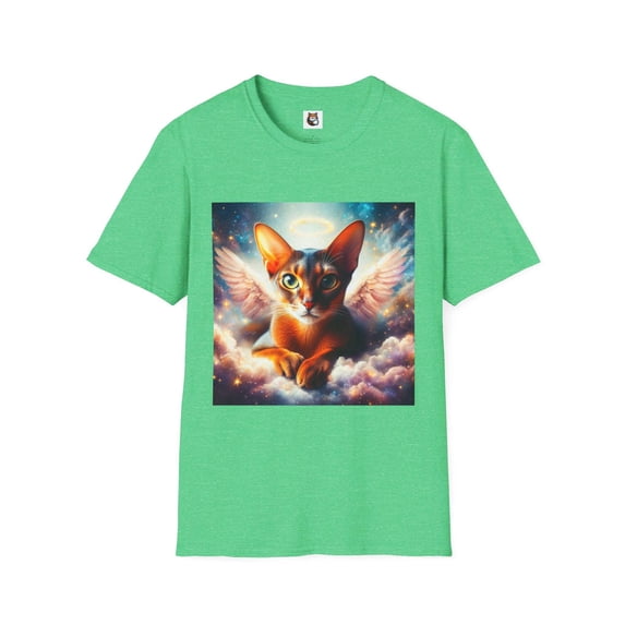 Abyssinian