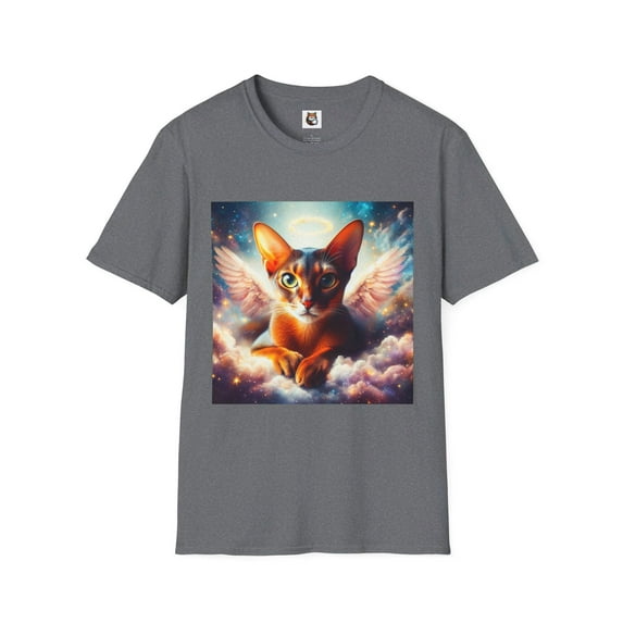 Abyssinian