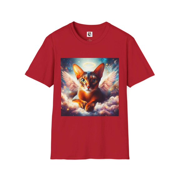 Abyssinian