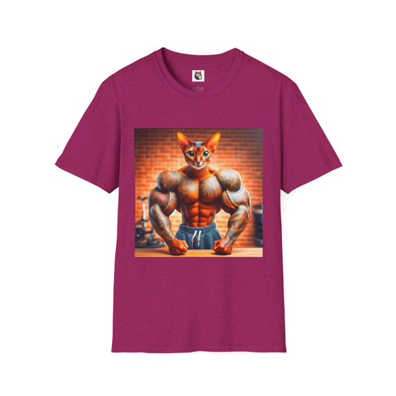 Abyssinian