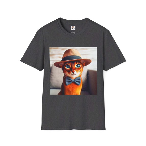 Abyssinian