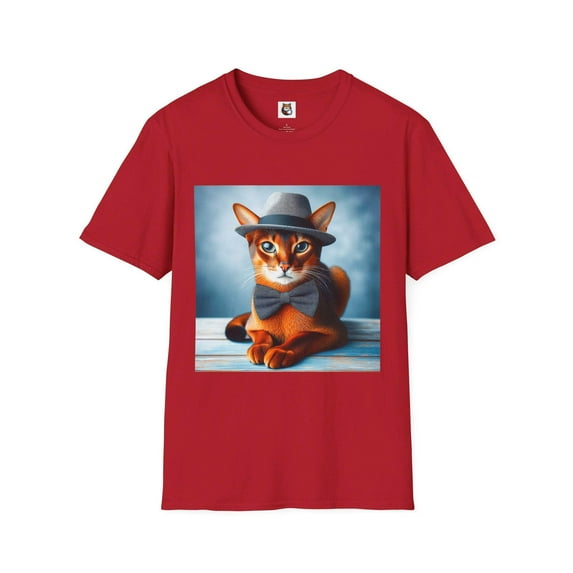 Abyssinian