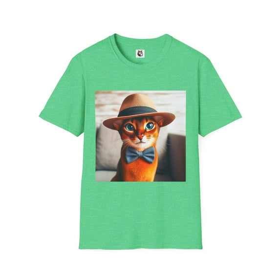 Abyssinian