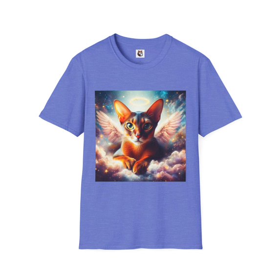Abyssinian