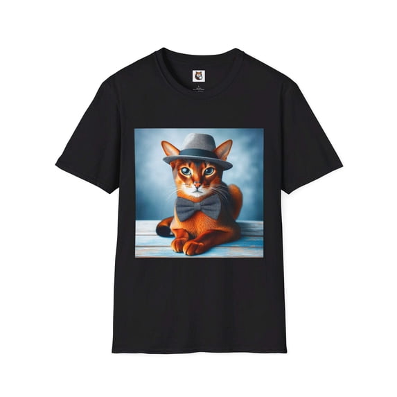 Abyssinian
