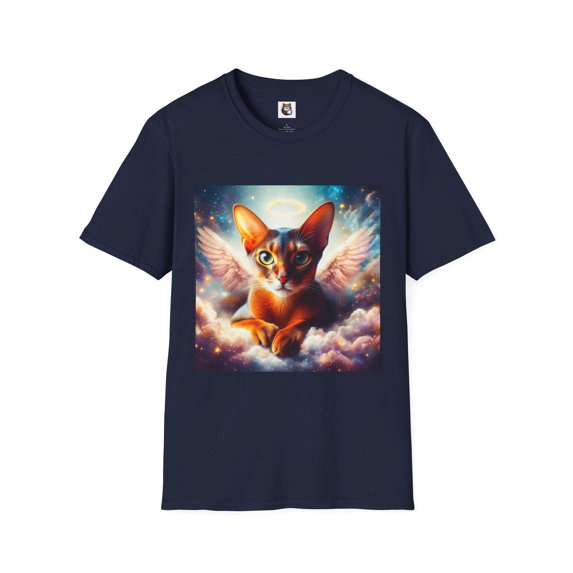 Abyssinian